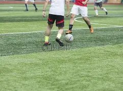 季后赛排名,决战在即,广东队将锁,万博manbetx体育平台,万博体育官网,万博体育app下载,ManBetX,SPORTS